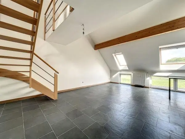 duplex