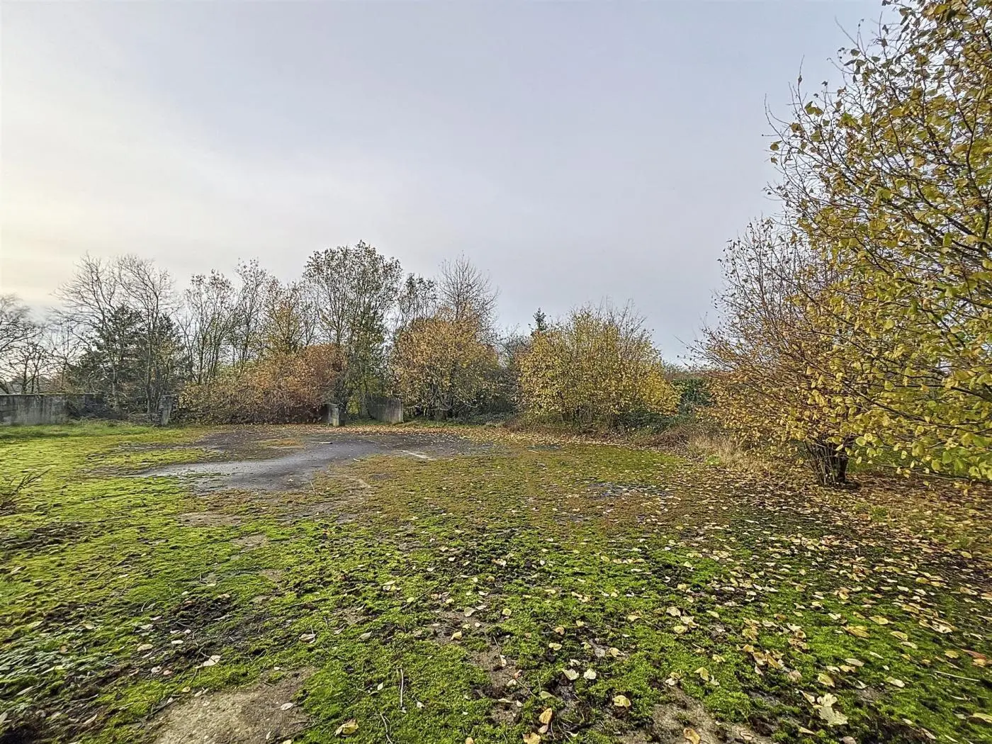 Terrain