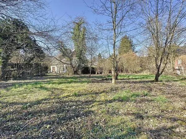 Terrain