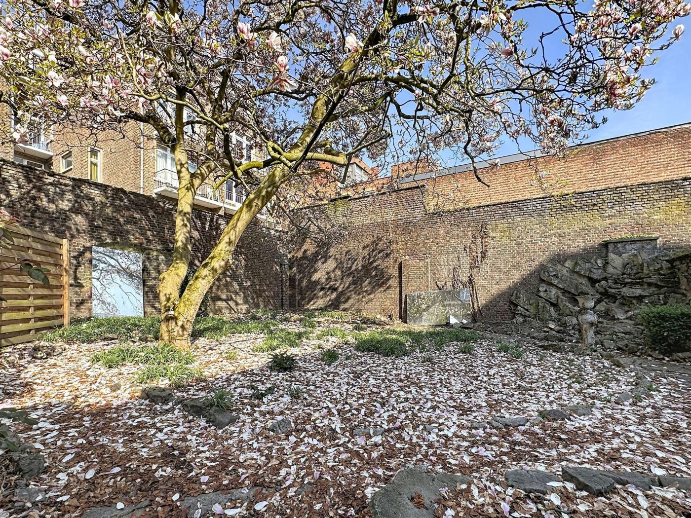 Commerce-Bureaux-Rapport