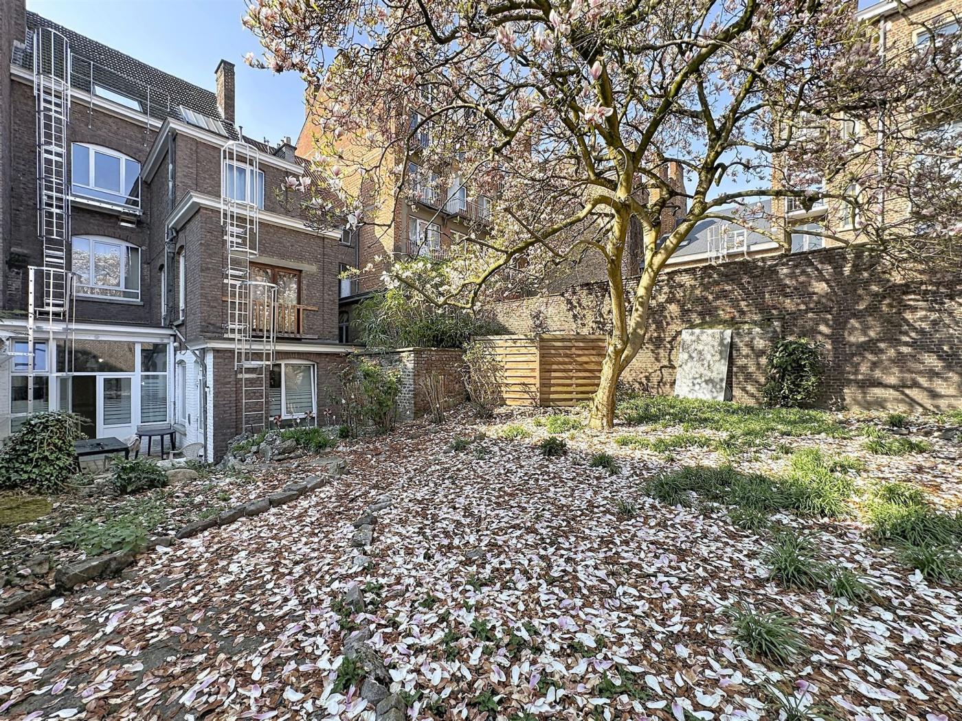 Commerce-Bureaux-Rapport