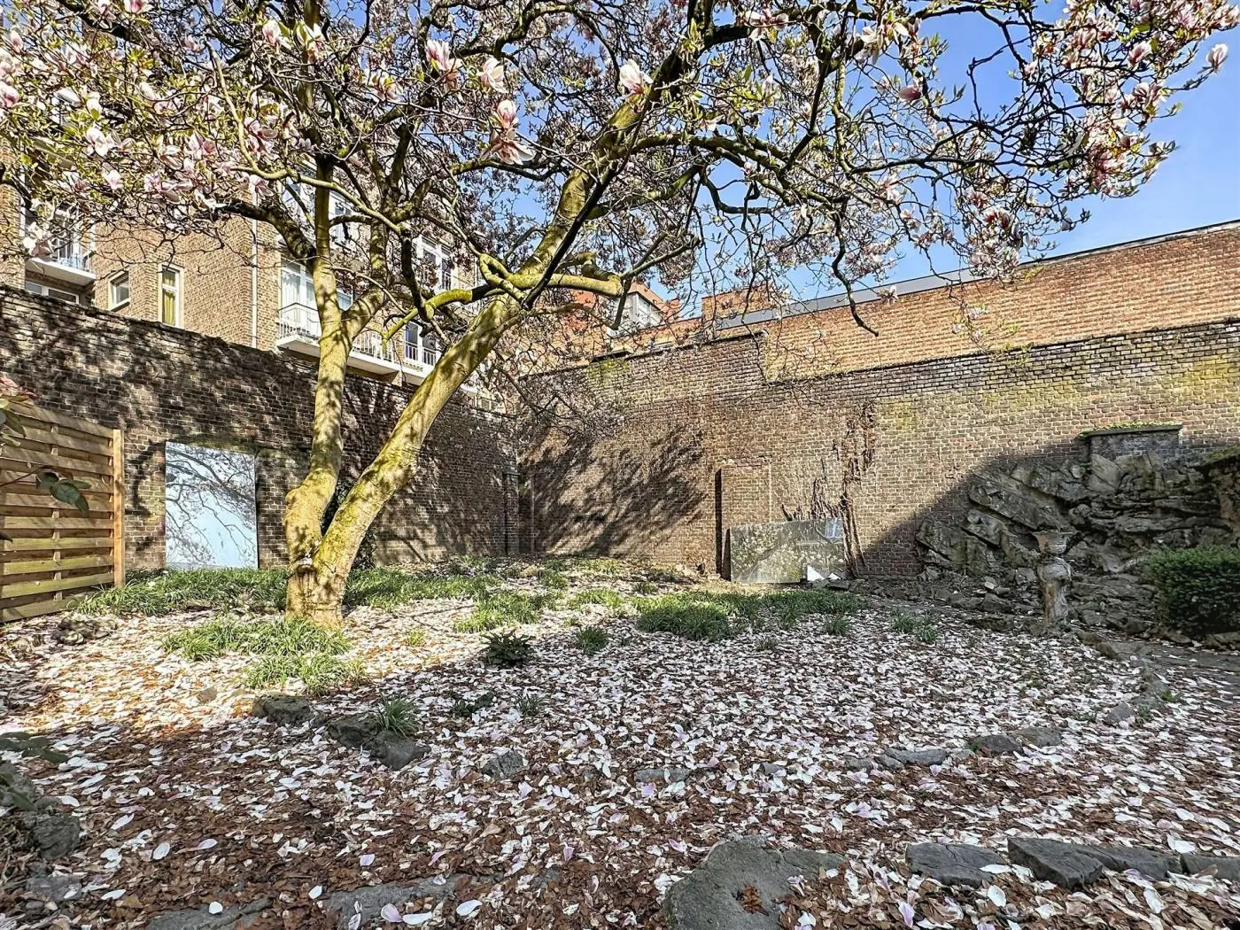 Commerce-Bureaux-Rapport