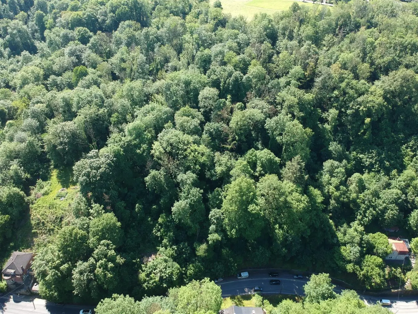 Terrain