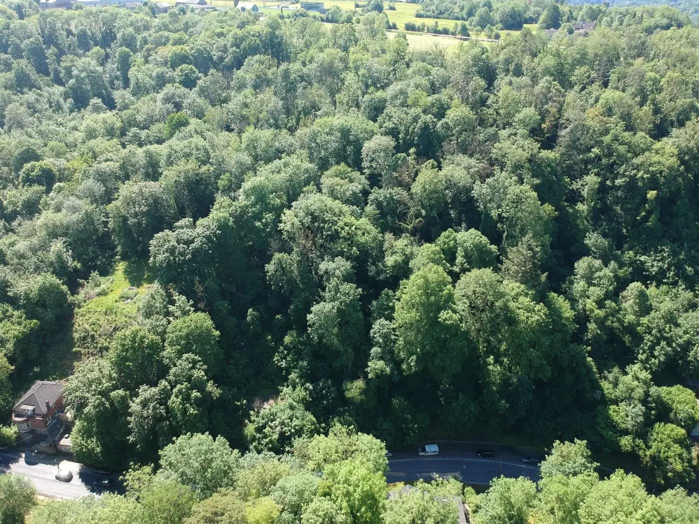 Terrain