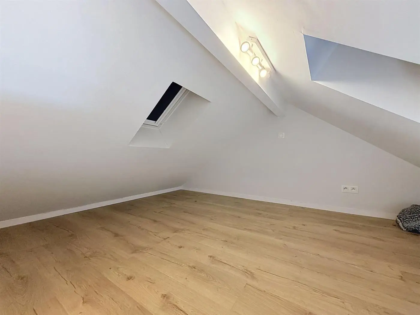 Chambre en collocation