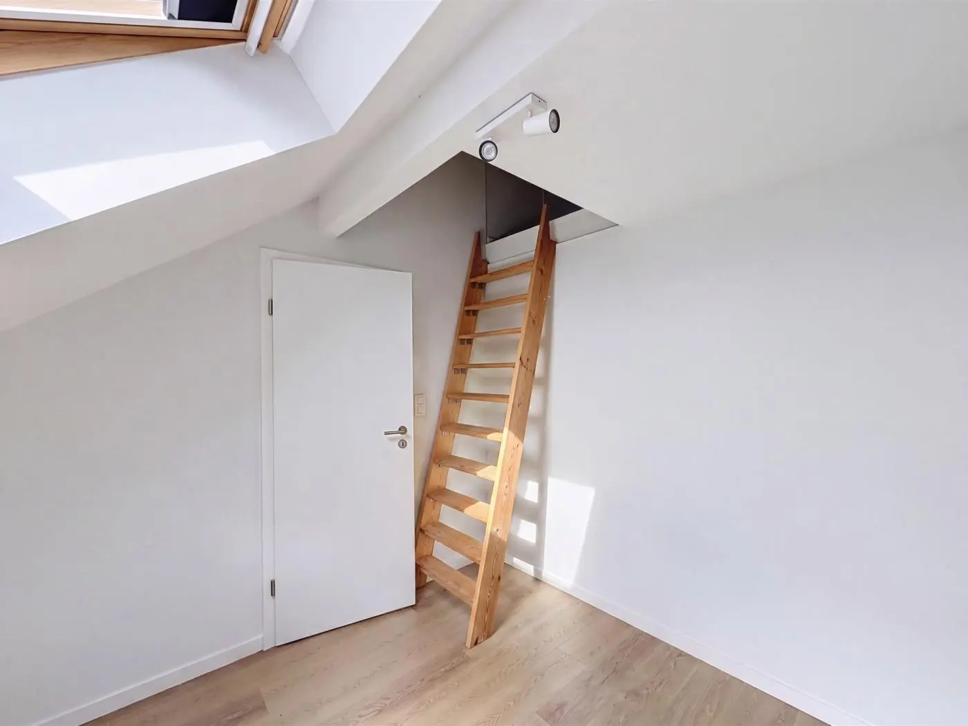 Chambre en collocation