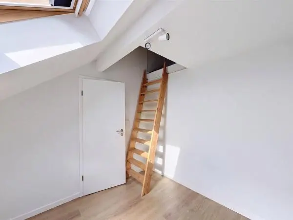 Chambre en collocation