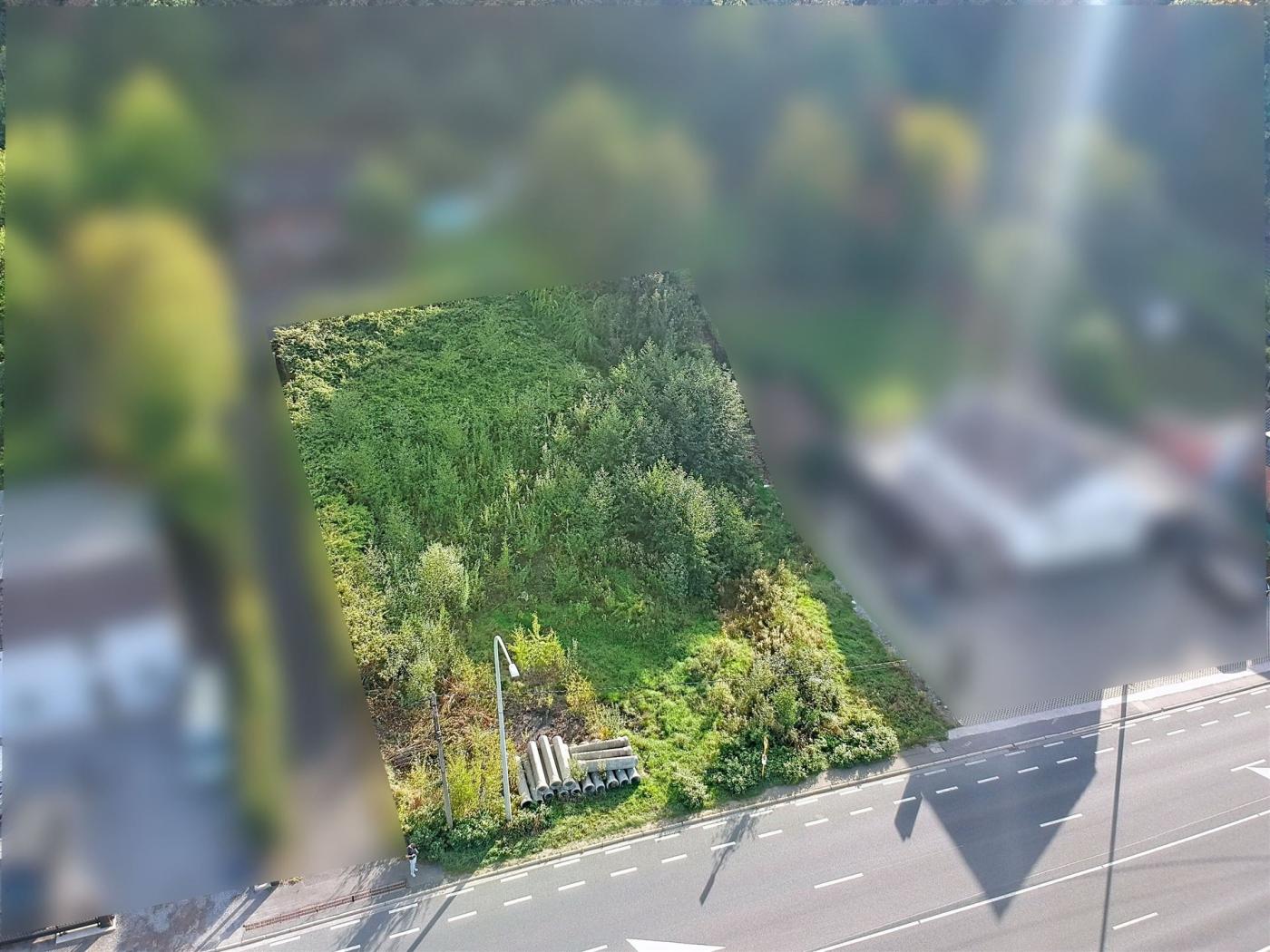 Terrain