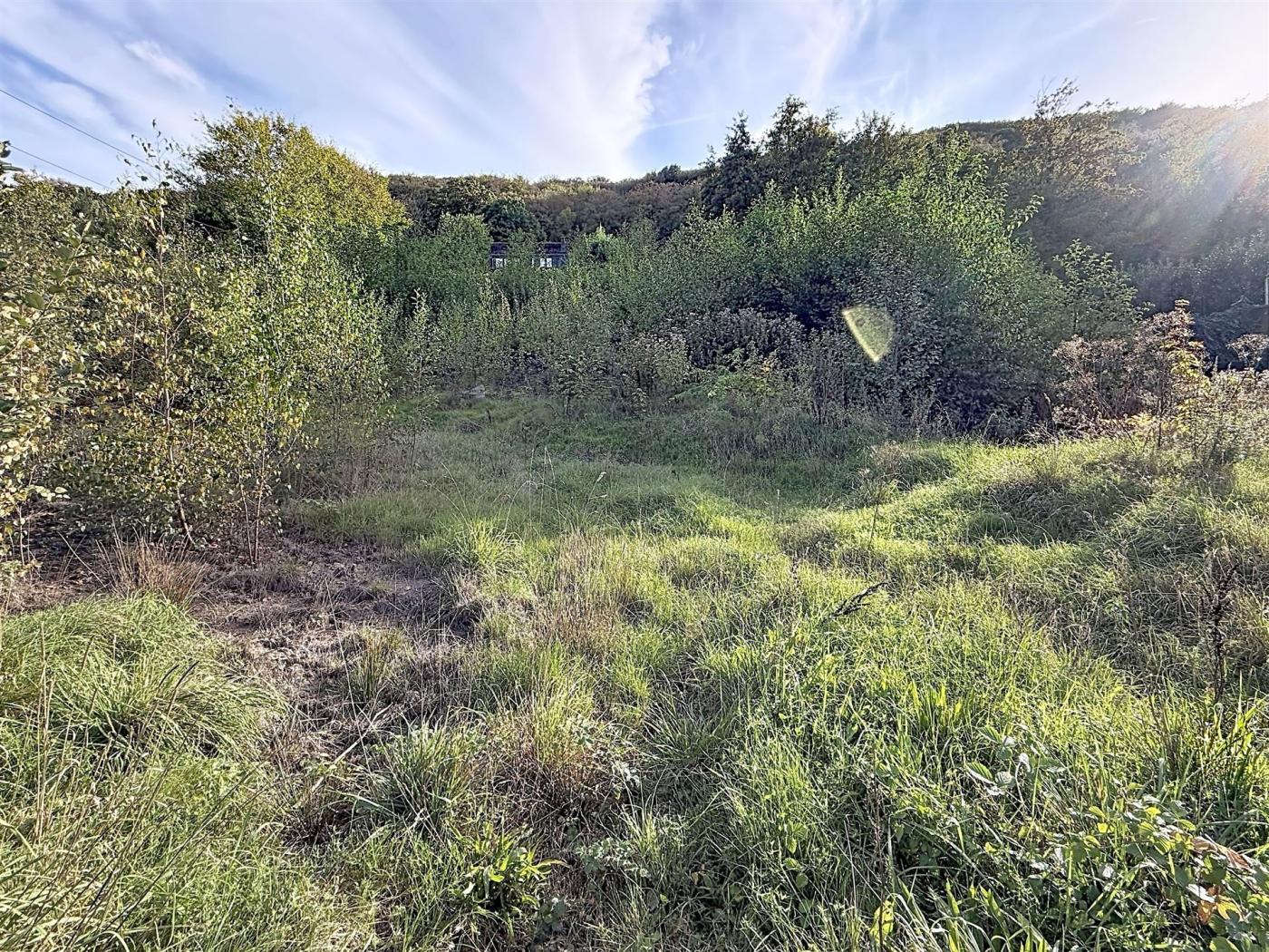Terrain